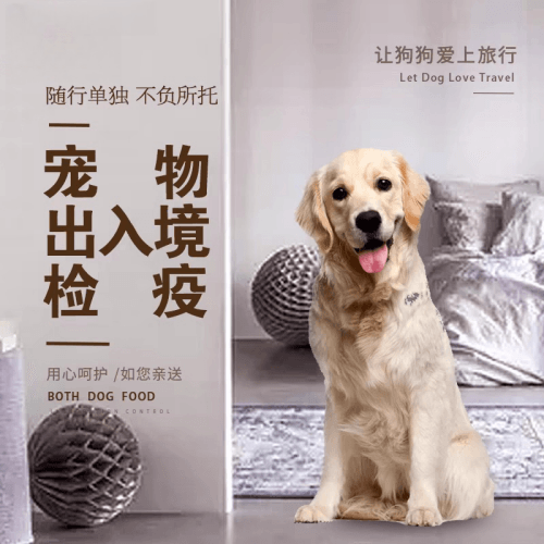 苏州市宠物托运到哥伦比亚猫狗宠物入境规定和
