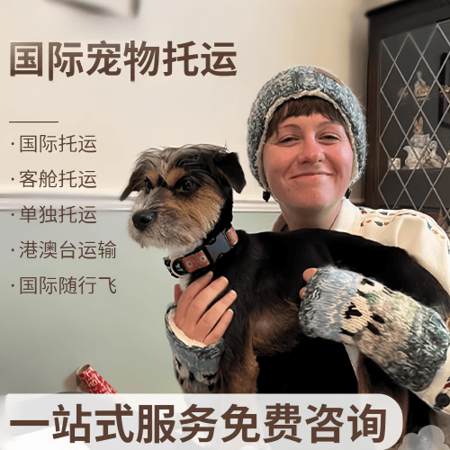 苏州市国际宠物托运到阿根廷宠物入境规定和要