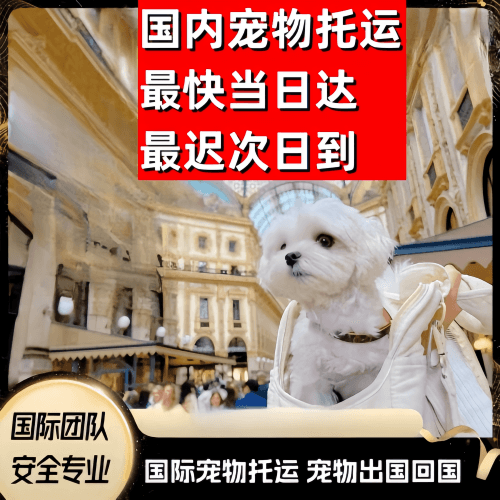 苏州市到澳大利亚（澳洲）宠物入境规定和要求